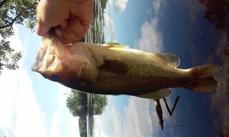 nice bass